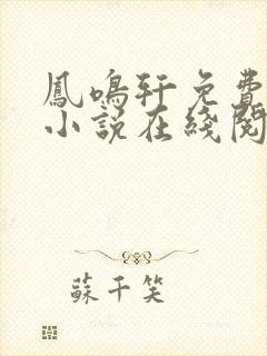 凤鸣轩免费言情小说在线阅读