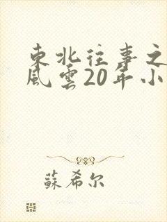 东北往事之黑道风云20年小说封面