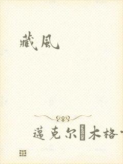 藏风封面