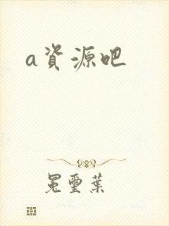 a资源吧