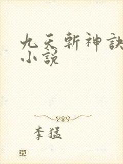 九天斩神诀林辰小说封面