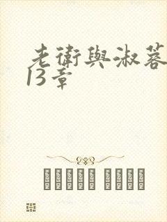 老卫与淑蓉小说13章封面