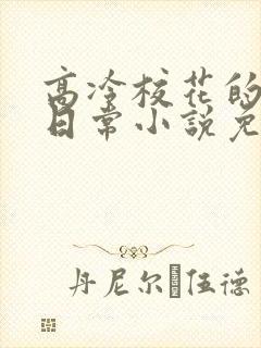 高冷校花的被擒日常小说免费阅读封面