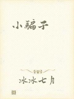 小骗子封面