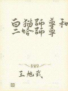 白猫师尊和他的二哈师尊封面