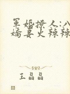 军婚撩人:八零娇妻火辣辣完结版封面
