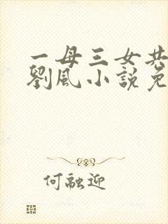 一母三女共一婿刘风小说免费阅读