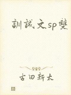 训诫文sp双男