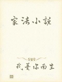 家法小说