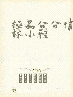 极品公公俏儿媳林小雅