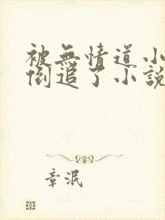 被无情道小师弟倒追了小说番外