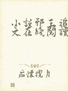 小说邪王追妻全文在线阅读