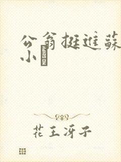 公翁挺进苏玥的小泬