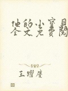他的小宝贝小说全文免费阅读
