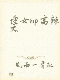 傻女np高辣h文