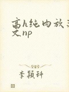 高h纯肉放荡h文np