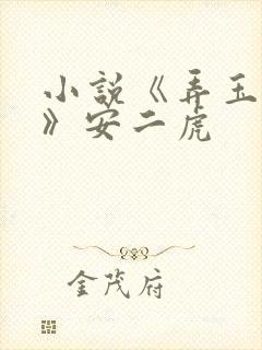 小说《弄玉偷香》安二虎