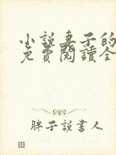 小说妻子的秘密免费阅读全文封面