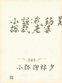 小说:我的美女总裁老婆