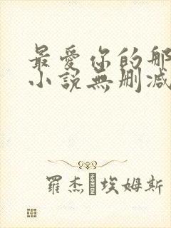 最爱你的那十年小说无删减版