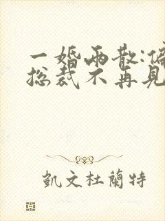 一婚两散:偏执总裁不再见