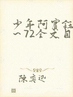 少年阿宾钰慧1～72全文目录免费阅读