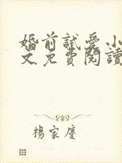 婚前试爱小说全文免费阅读吕颜
