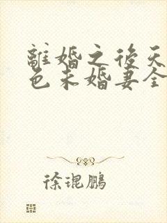离婚之后天降绝色未婚妻全文免费阅读封面