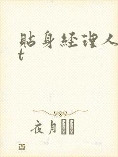贴身经理人txt