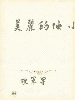 美丽的他 小说