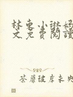 林东小琳妈妈全文免费阅读小说