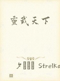 灵武天下