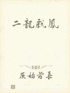 二龙戏凤