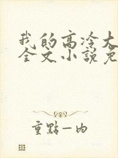 我的高冷大小姐全文小说免费阅读