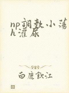 np调教小荡货h灌尿