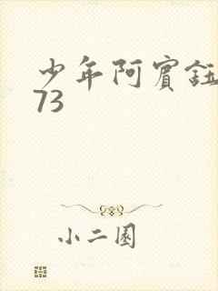 少年阿宾钰慧篇73