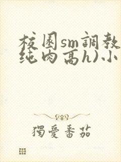 校园sm调教(纯肉高h)小说