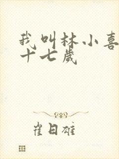 我叫林小喜今年十七岁封面