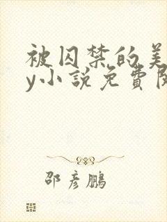 被囚禁的美人by小说免费阅读