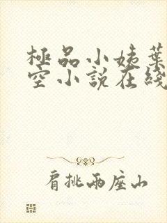 极品小姨叶凡司空小说在线阅读全文