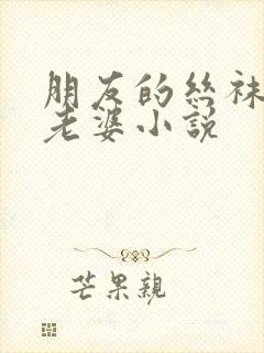 朋友的丝袜人妻老婆小说