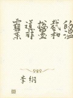 霸道总裁的替身叶非墨和温暖小说
