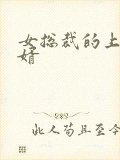 女总裁的上门女婿