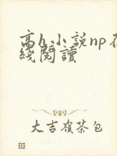 高h小说np在线阅读