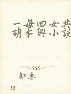 一母四女共一婿胡本兴小说封面