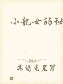小龙女的秘密封面