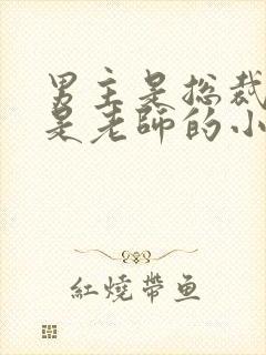 男主是总裁女主是老师的小说封面