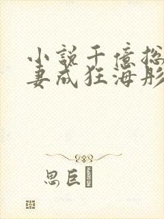 小说千亿总裁宠妻成狂海彤
