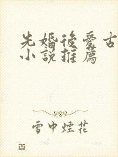 先婚后爱古言情小说推荐
