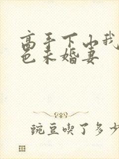 高手下山我的绝色未婚妻